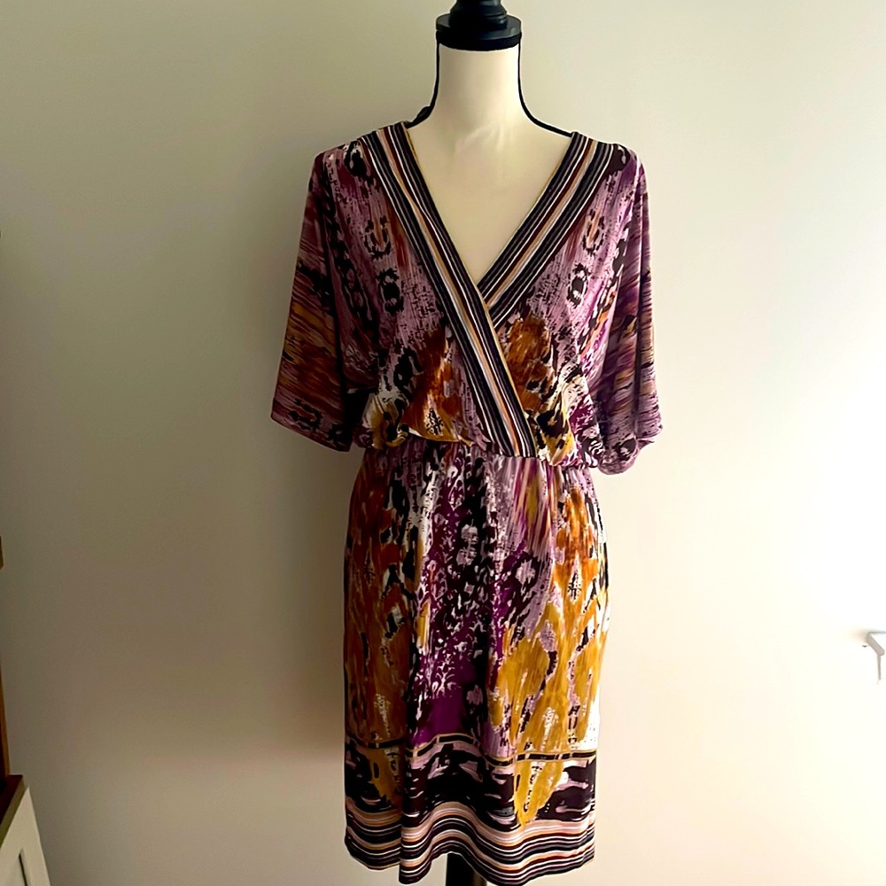 Vintage Alyn Paige dress